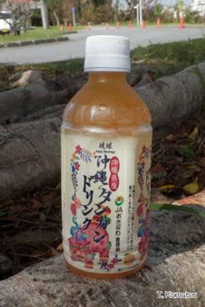 沖縄タンカンドリンク